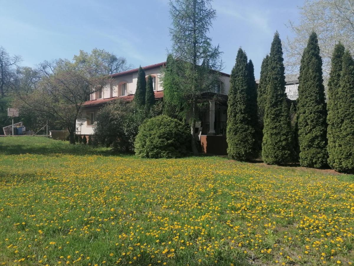 Nyíregyháza Staff House Bed & Breakfast エクステリア 写真